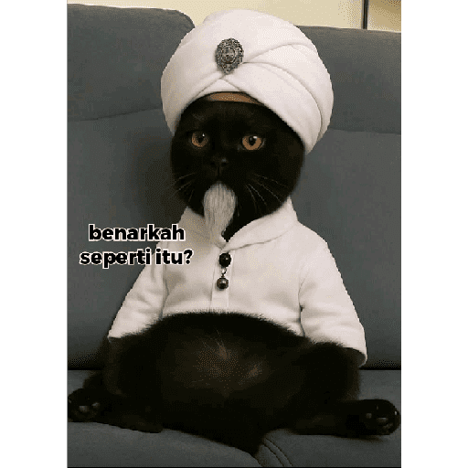 Kucing reog part 2 17