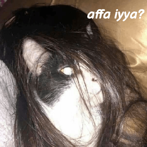 Kucing reog part 2 10