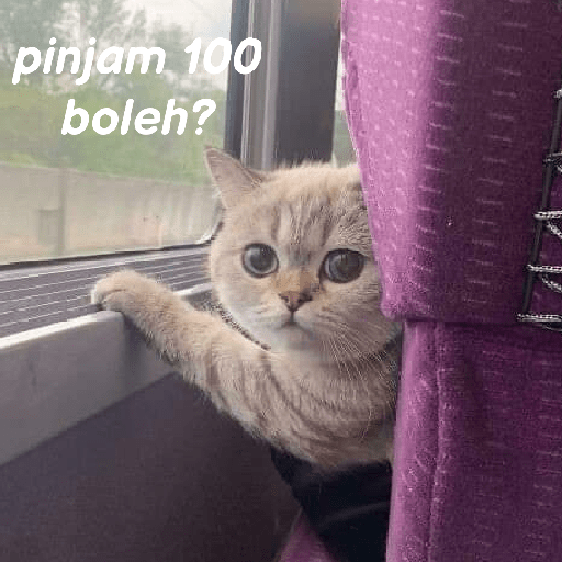 Kucing reog part 2 3