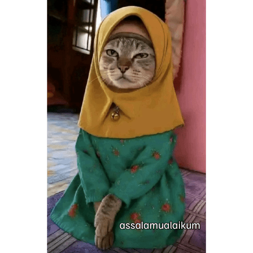 Kucing reog part 2 24