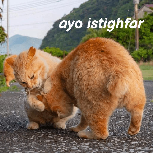 Kucing reog part 2 12
