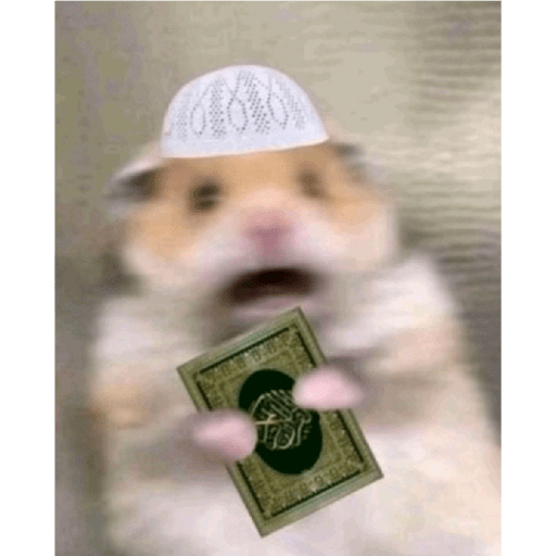 Kucing reog part 2 26
