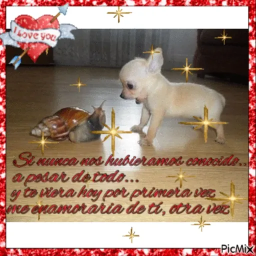 Decadencia stickers 5