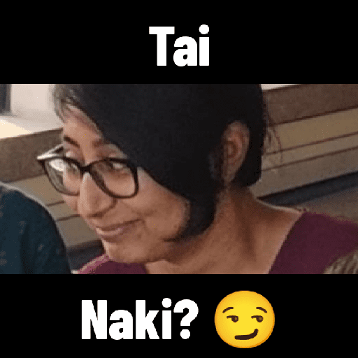 NICED Diaries 14