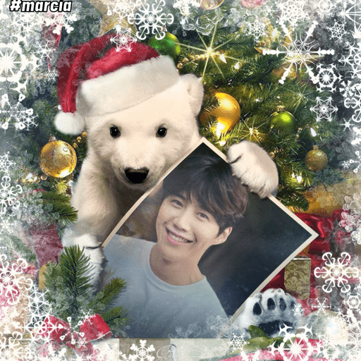 Natal 6