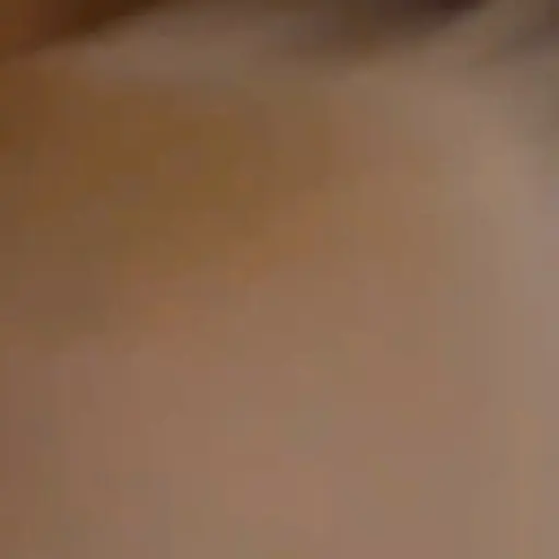 Boogie 4