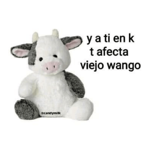 > Peluches < 🧸 2