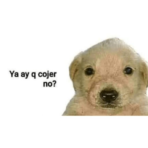 > Peluches < 🧸 7