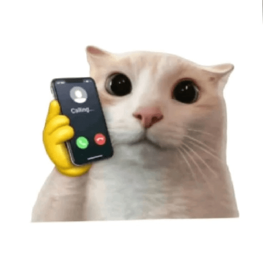 Cat emoji 10