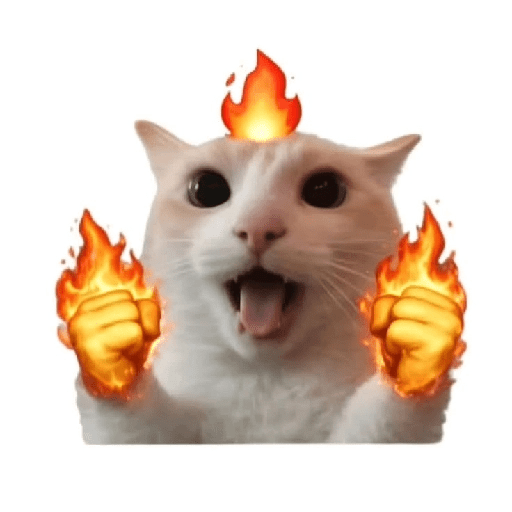 Cat emoji 11