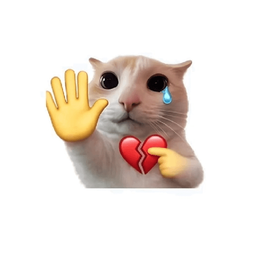 Cat emoji 13