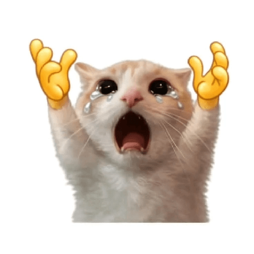 Cat emoji 12