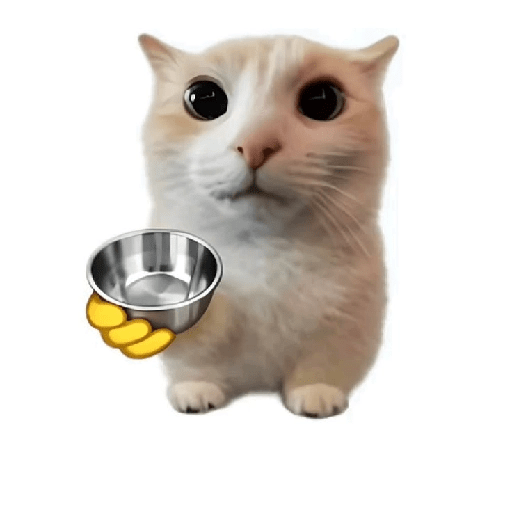 Cat emoji 15