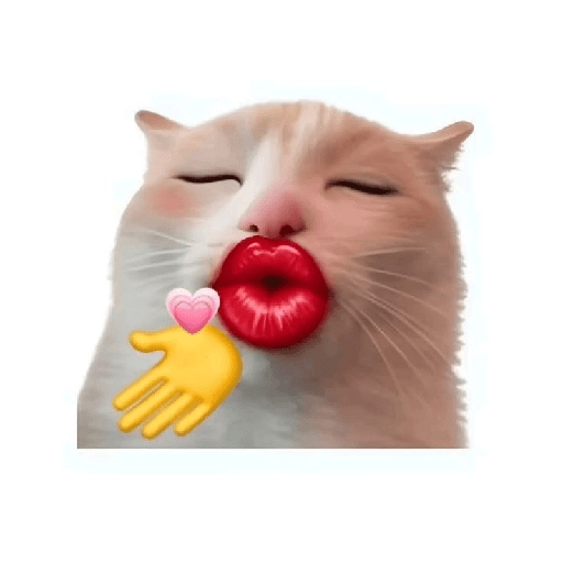 Cat emoji 14