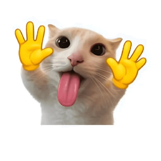 Cat emoji 17