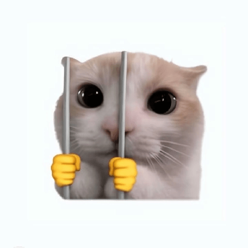 Cat emoji 20
