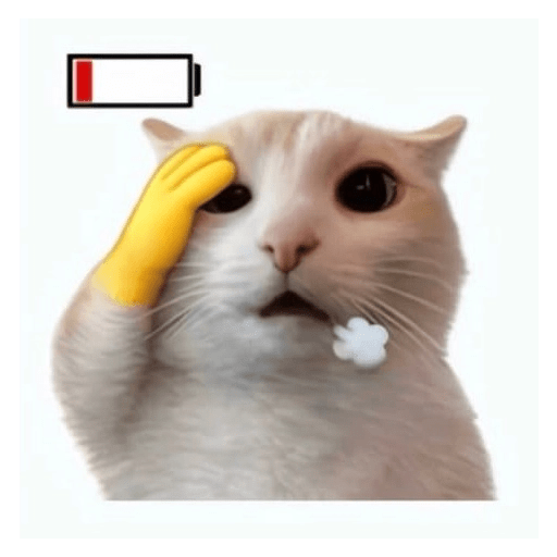 Cat emoji 29