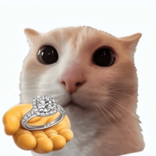 Cat emoji 1