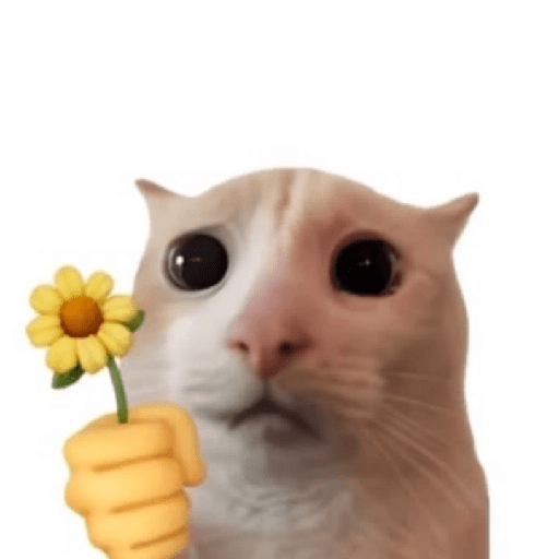 Cat emoji 2