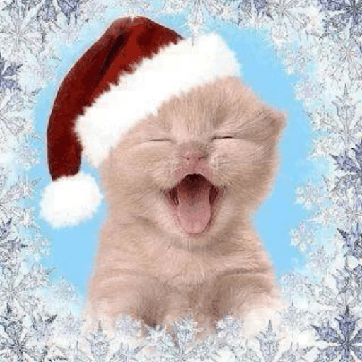 Natal 30