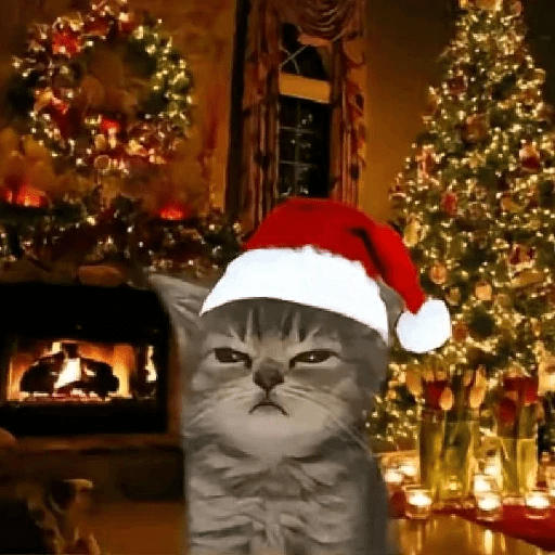 Natal 18