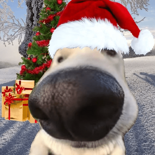 Natal 20