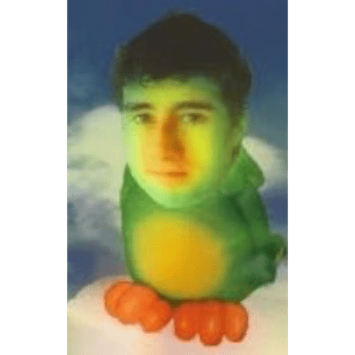 Sticker Image