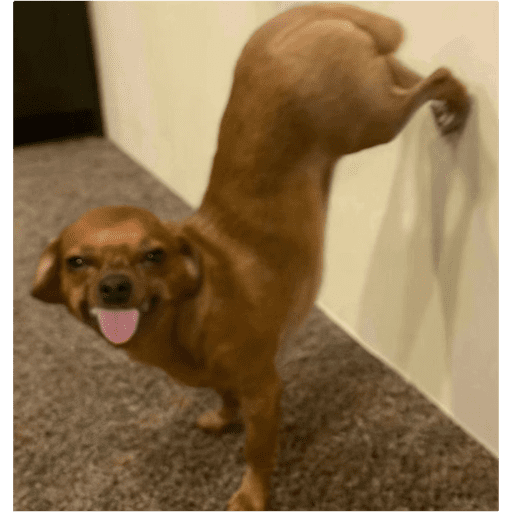Hehehehheheh 9