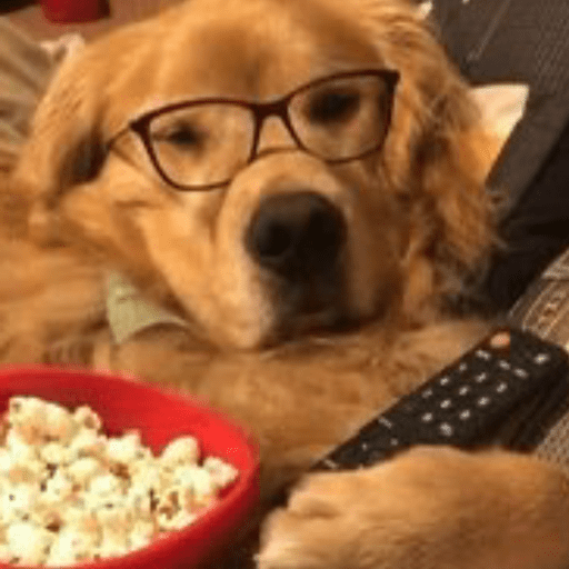 Cutie doggie 21