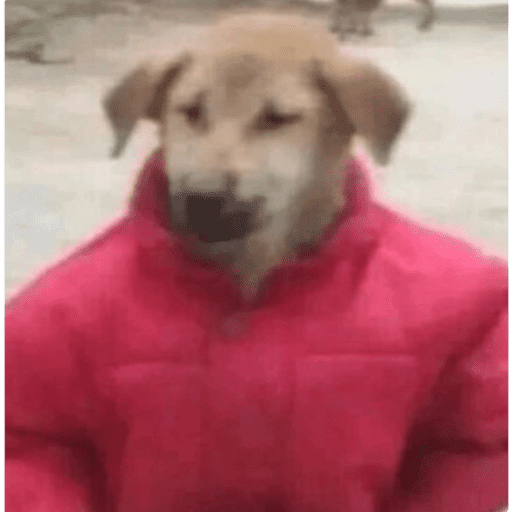 Cutie doggie 30