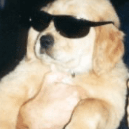 Cutie doggie 17