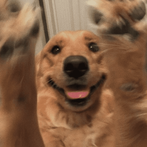 Cutie doggie 25