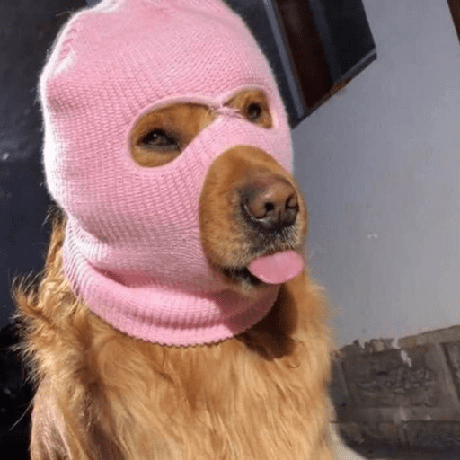 Cutie doggie 22