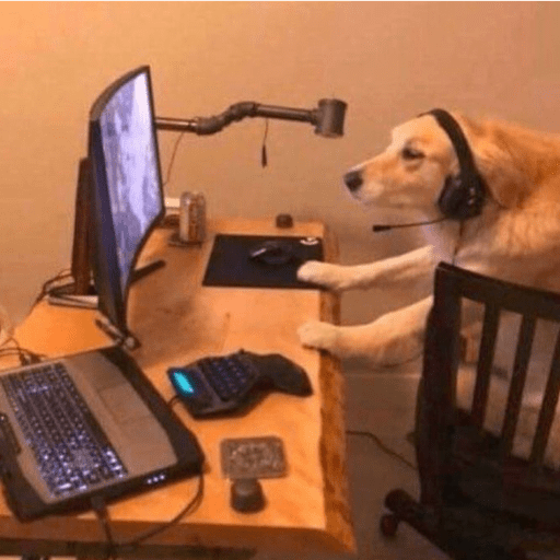 Cutie doggie 18