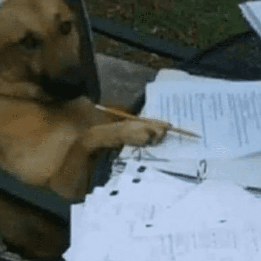 Cutie doggie 27