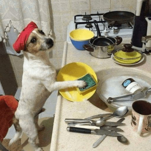 Cutie doggie 26
