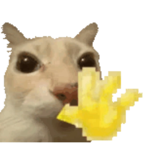 Sim 15