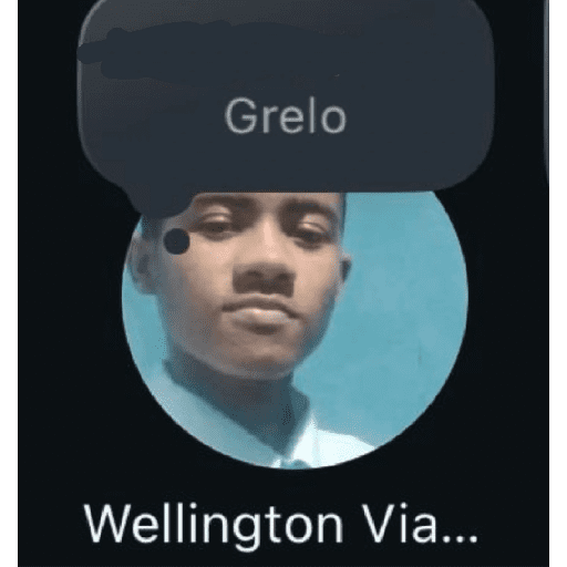 Vivivivitória 20