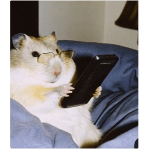 Gatos y ratones  3