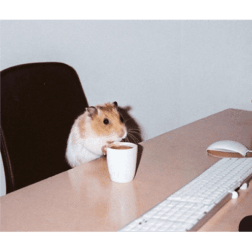 Gatos y ratones  2