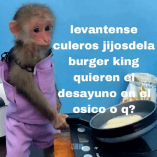 Monos panas 🐒 10