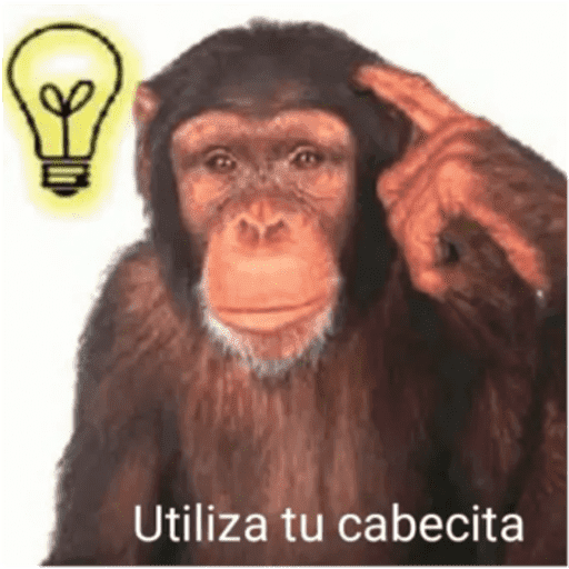 Monos panas 🐒 11
