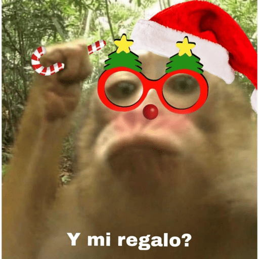 Monkey crazy's  4