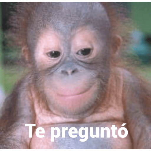Monkey crazy's  8
