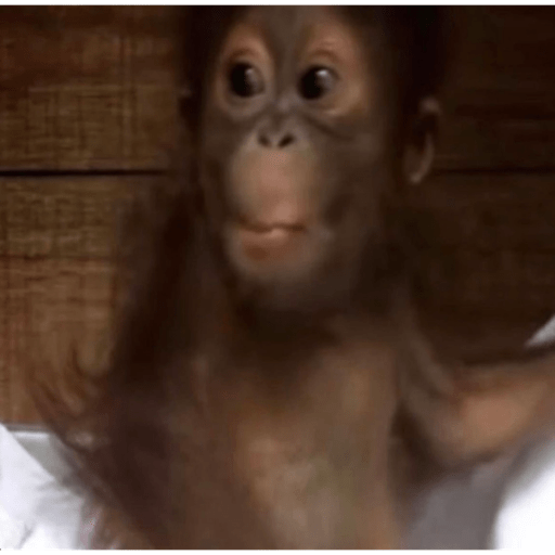 Monkey crazy's  18