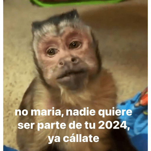 Monkey crazy's  14