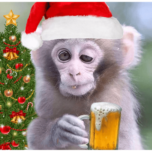 Monkey crazy's  11