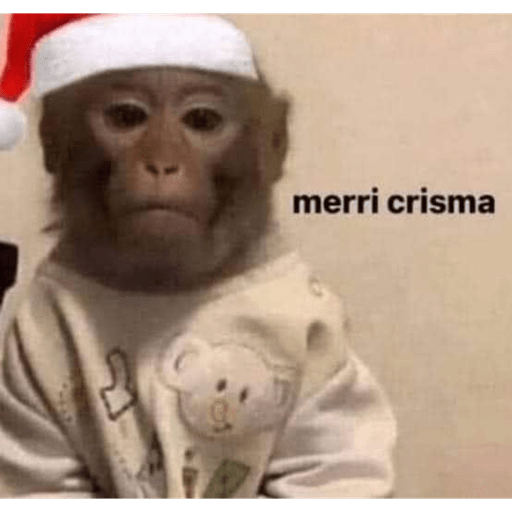 Monkey crazy's  12