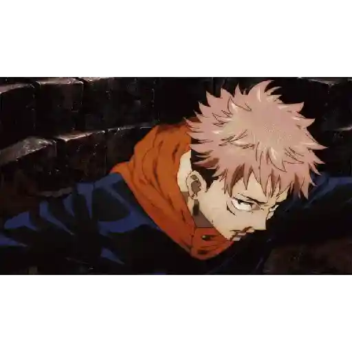 Jujutsu 15