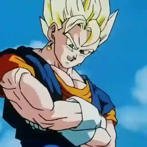 Súper Vegetto 14